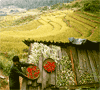 Bhutan 